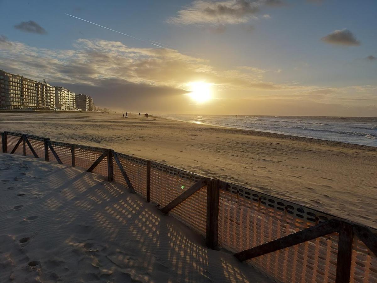 Appartement Met Zeezicht En Verwarmd Zwembad Oostende Bagian luar foto